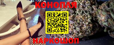 прущие грибы Краснознаменск