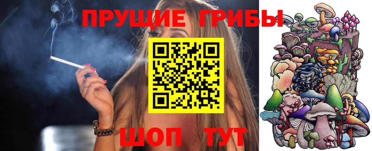Галлюциногенные грибы Psilocybine cubensis  наркота  Чайковский  Вход с VPN 